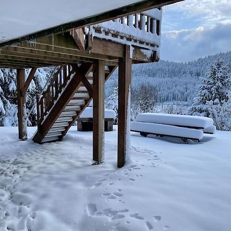 Chalet Situe Au Grand Valtin Βίλα Ban-sur-Meurthe-Clefcy Εξωτερικό φωτογραφία