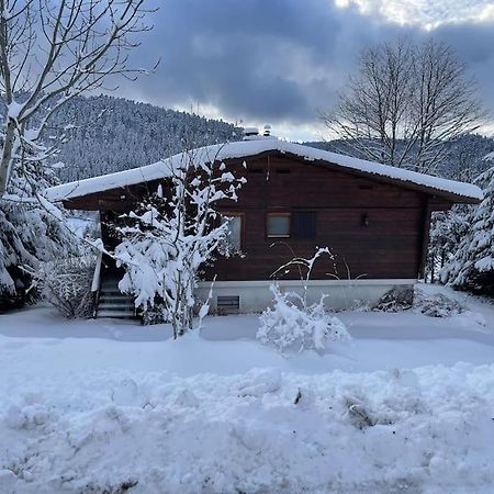 Chalet Situe Au Grand Valtin Βίλα Ban-sur-Meurthe-Clefcy Εξωτερικό φωτογραφία