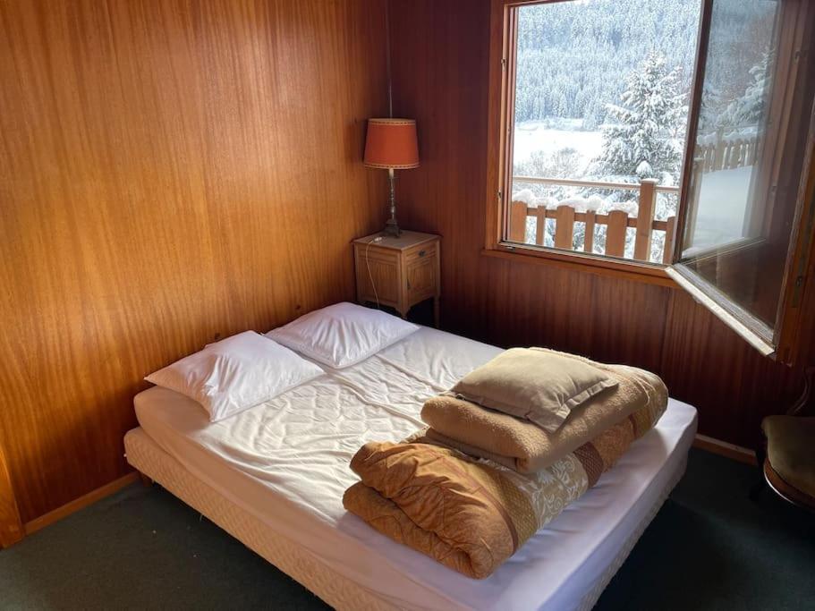 Chalet Situe Au Grand Valtin Βίλα Ban-sur-Meurthe-Clefcy Εξωτερικό φωτογραφία